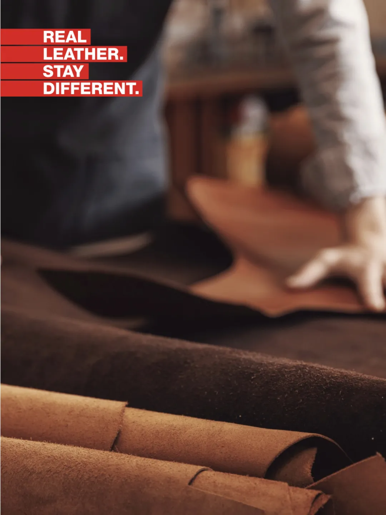 图片[4]-2026“国际真皮学生设计大赛”全球学生设计大赛 中国大陆赛区-设计比赛网-设计大赛/设计竞赛/设计比赛信息/赛事征集/比赛资讯