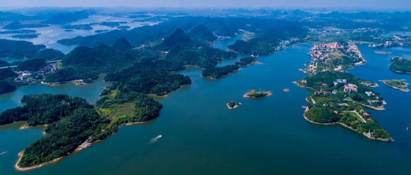 2024年“美丽守护·多样自然” 公众参与生物多样性保护文化艺术作品征集活动-设计比赛网-设计大赛/设计竞赛/设计比赛信息/赛事征集/比赛资讯