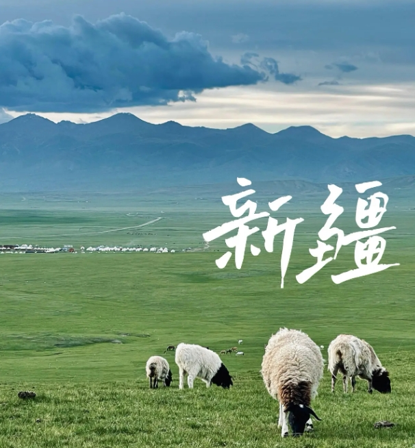 新疆志愿服务联合会 新疆志愿服务基金会标志和卡通形象征集公告-设计比赛网-设计大赛/设计竞赛/设计比赛信息/赛事征集/比赛资讯