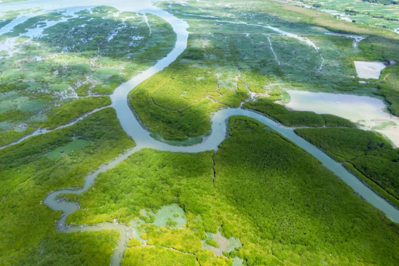 “ 云霄文旅 ”品牌Logo征集活动-设计比赛网-设计大赛/设计竞赛/设计比赛信息/赛事征集/比赛资讯