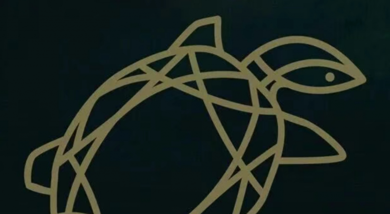 俄罗斯金龟 Golden Turtle 2026 第19届国际野生自然节海报大赛-设计比赛网-设计大赛/设计竞赛/设计比赛信息/赛事征集/比赛资讯